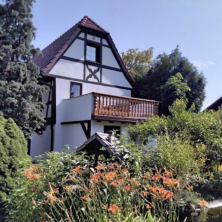 Pusteblume Apartment Groitzsch Bagian luar foto