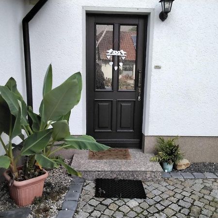 Pusteblume Apartment Groitzsch Bagian luar foto
