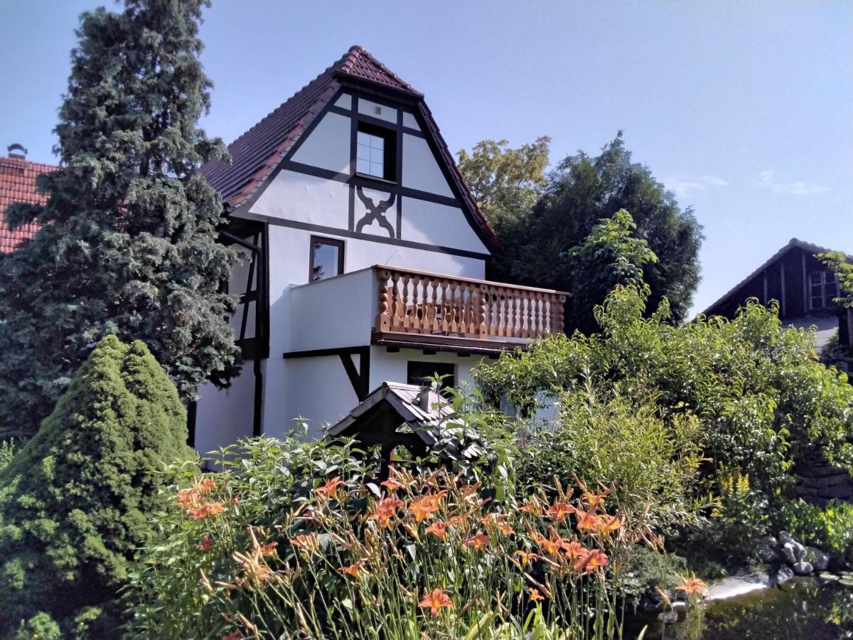 Pusteblume Apartment Groitzsch Bagian luar foto