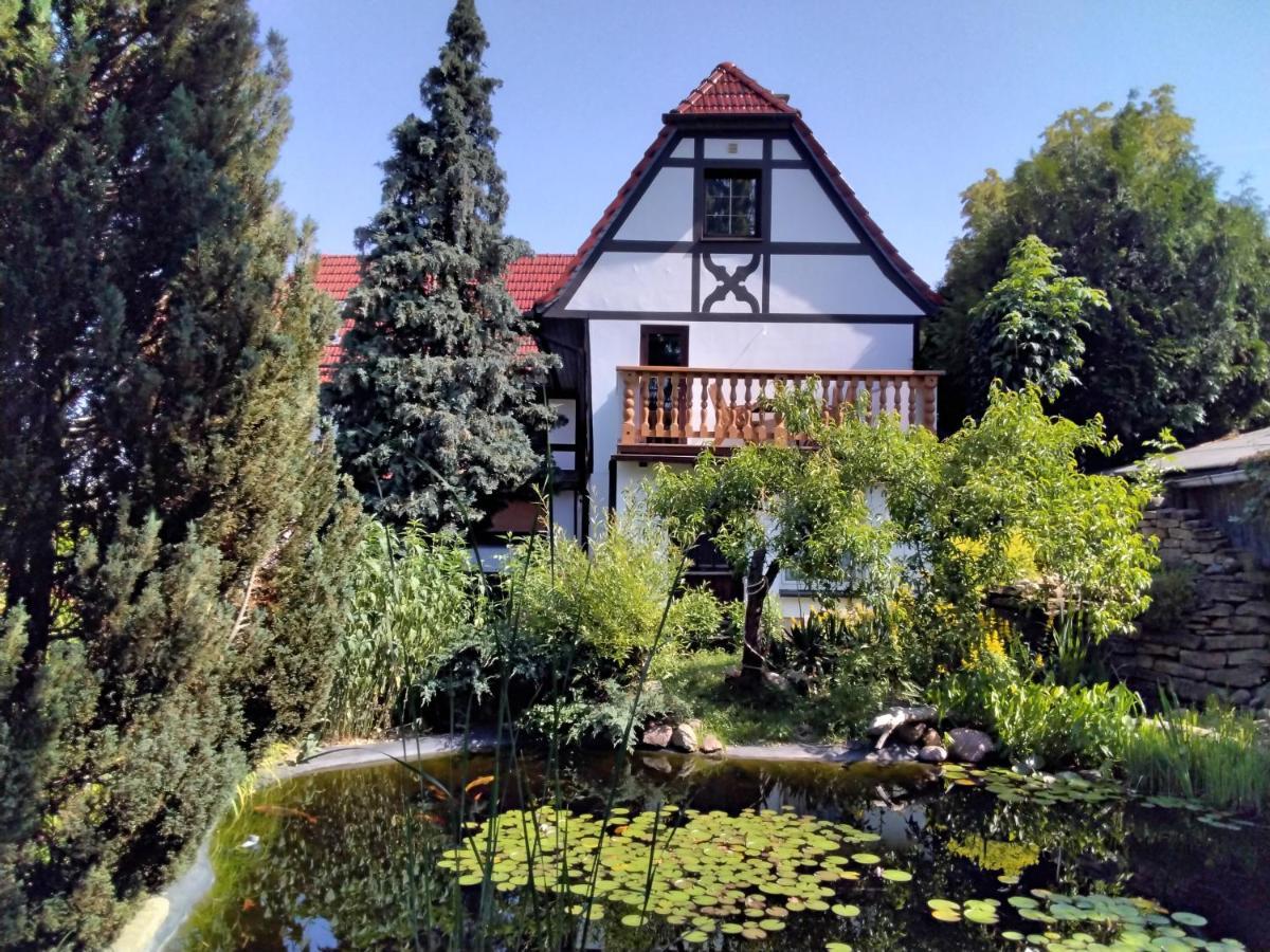 Pusteblume Apartment Groitzsch Bagian luar foto