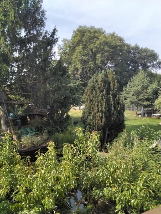 Pusteblume Apartment Groitzsch Bagian luar foto